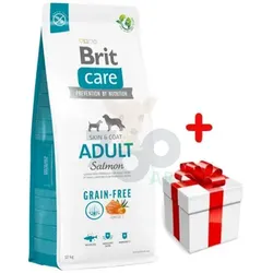 BRIT CARE Grain-free Adult Salmon 12kg + Überraschung für den Hund
