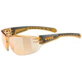 Uvex Equate Fahrradbrille Smoke/Orange - CAT1