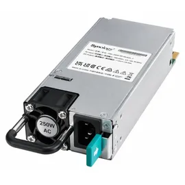 Synology PSU 250W-RP Module_2 Netzteil Grau,