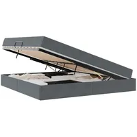 vidaXL Stauraumbett mit Matratze Dunkelgrau 200 x 200 cm Samt 3399743