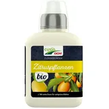 DCM CUXIN Flüssigdünger mediterrane Pflanzen 0,4 l
