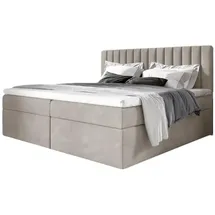 Fun Möbel Boxspringbett Schlafzimmerbett LINNEA 200x220cm Stoff Beige inkl. Bettkasten - Beige