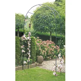 Harms Import Rank Gitter Rosen Bogen Pergola Tor Pflanzen Hilfe Gestell Spalier grün