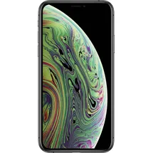 Apple iPhone XS 256 GB Space Grau