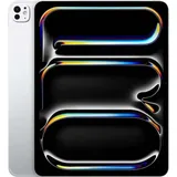 256 GB Wi-Fi + Cellular silber