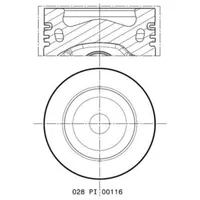 Mahle 028 PI 00116 002