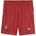 Shorts 2025/26 rot/grün Kinder Gr 176