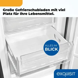 GGV Exquisit Exquisit Kühl-Gefrierkombination KGC5320-95-E-WS-040C inoxlook-az | Nutzinhalt: 313 L | Wasserspender | 4*-Gefrieren | Alarm-Funktion | 4 Glasablagen - Schwarz