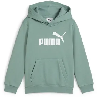 Puma Essentials No. 1 Logo Fleece Hoodie Jungen 30 green moon 116