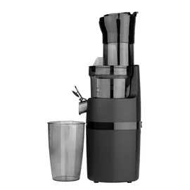GASTROBACK Vita Fresh Slow Juicer schwarz