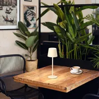 Fhlighting Tischleuchte ROXI
