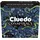 Hasbro Cluedo Conspiracy