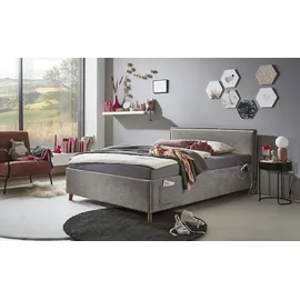 Meise Möbel Polsterbett Fun 120 x 200 cm Grau