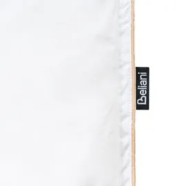Beliani Bettdecke Entendaunen Mittelwarm EIGER 220 x 240 cm