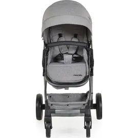 Moni Kombikinderwagen 2 in 1 Giselle