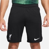 Nike Liverpool Stadium Away Nike FC 2023/24 Herren - Schwarz, S