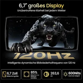 lagenio Panther 2 Pro 8 GB RAM 256 GB Beige