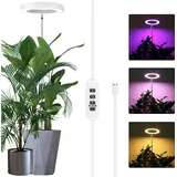 LED Pflanzenlampe 35-155CM Vollspektrum Pflanzenlicht mit 9 Helligkeitsstufen Timer Höhenverstellbares Pflanzenleuchte für Große Pflanzen, Weiß