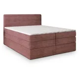 masseno Lunera 160 x 200 cm H2 Rosa