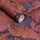 William Morris At Home Acanthus Vliestapete 10 m x 0,66 m 1 St Lila/Rot 34193