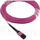 CBO LWL MTP Trunkkabel OM4 12 Kerne 5 Meter Typ B,