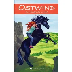 Ein rätselhafter Unfall - Ostwind (Bd. 1)