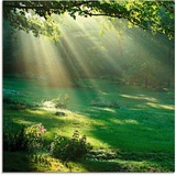 Artland Glasbild »Lichtkegel«, Wald, (1 St.), grün
