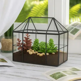 Relaxdays Pflanzenterrarium, Glas & Kupfer, 21x23x14 cm, Deko Glashaus Kakteen & Moos, Glaskasten Fensterbank, schwarz