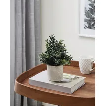 EGLO Kunstpflanze Buxbaum Chitose im Topf grün 23 x 18 cm