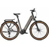 Kalkhoff ENTICE 5+ ADVANCE ABS RH 58 cm moonstonegrey matt