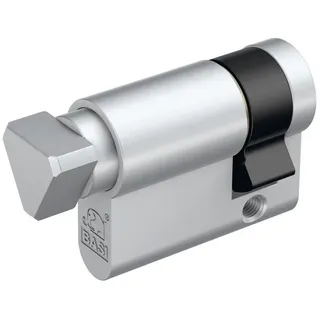 BASI | Dreikant Halbzylinder 10/30 mm | Dreieck Zylinder | 17 mm außenliegend | für Absperrpfosten Schaukästen Feuerwehr Müllbehälter Schlüsselschalter