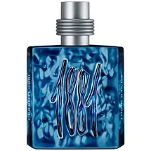 CERRUTI 1881 Silver Night Eau de Parfum 100 ml
