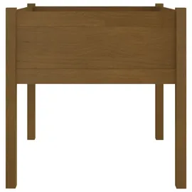 vidaXL Pflanzkübel 70 x 70 x 70 cm Honigbraun