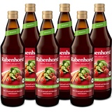 Rabenhorst Traditioneller Gemüsesaft BIO 6x700 ml Saft