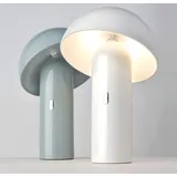 SOMPEX Svamp - (78080)