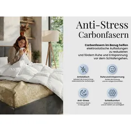 MKS GANZJAHRESBETTDECKE Anti-Stress-Effekt CALIMA 200/220 mit Kopfkissen 40/80