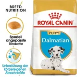 Royal Canin Dalmatian Junior 12 kg