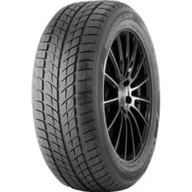 Doublestar DW09 275/40 R20 106V