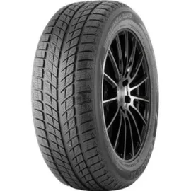 Doublestar DW09 275/40 R20 106V