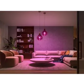 Philips Hue White & Color Ambiance E27 1100 lm 2 St. + Bridge