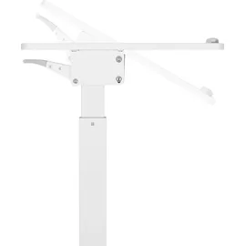 Maclean Brackets Höhenverstellbarer Laptoptisch mit Rollen Sitz-steh-Schreibtisch Gasfeder Höhenverstellbar bis max. 113cm 30 Grad Neigbar Belastbar bis 8kg (Weiße Farbe)
