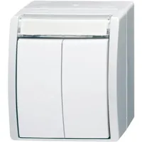 Busch-Jaeger Doppeltaster 2621 WN-54-205-101