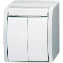 Busch-Jaeger Doppeltaster 2621 WN-54-205-101