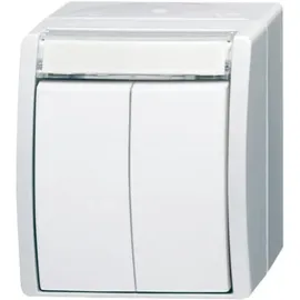 Busch-Jaeger Doppeltaster 2621 WN-54-205-101