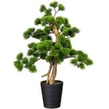 Creativ-green Kunstpflanze Bonsai Kiefer, 60 cm