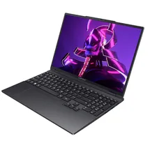 CAPTIVA Power Starter I99-044GE 15,3" Intel Core Ultra 7 255H 16 GB RAM 500 GB SSD  Win11 Pro Schwarz