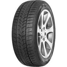 MINERVA Frostrack UHP 295/35 R21 107V