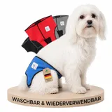 NATURE PET Premium Läufigkeitshose für Hündinnen – Hochwertige & Bequeme Hundewindeln für Hündinnen & Rüden – Waschbare Inkontinenz-Hundewindel ohne Einfädeln der Rute – XS–L/Blau