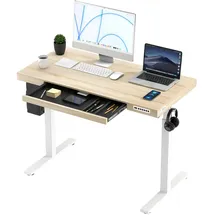 KOWO Schreibtisch Höhenverstellbar Elektrisch 120 x 60 cm, Helle Holz Tischplatte, Höhenverstellbarer Schreibtisch, Ergonomischer Steh-Sitz Tisch, Computertisch