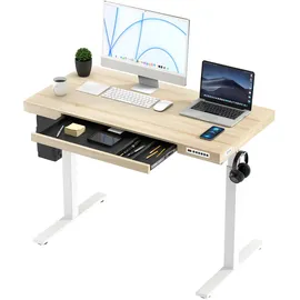 KOWO Schreibtisch Höhenverstellbar Elektrisch 120 x 60 cm, Helle Holz Tischplatte, Höhenverstellbarer Schreibtisch, Ergonomischer Steh-Sitz Tisch, Computertisch